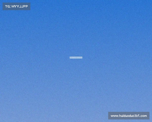 世界最高拳击赛事排名